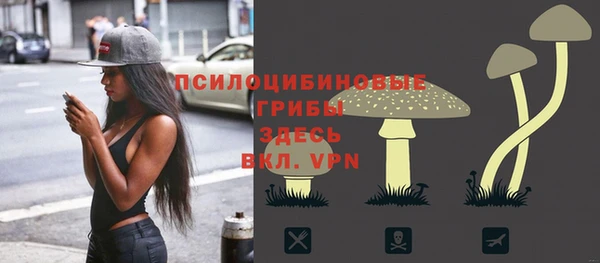 СК Бородино