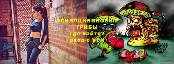 СК Бородино