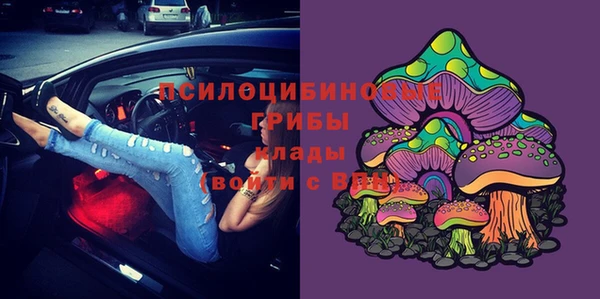 СК Бородино